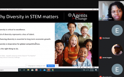 STEM Diversity: Continuing the Conversation